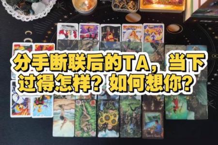 塔罗测试分手后他过的好吗