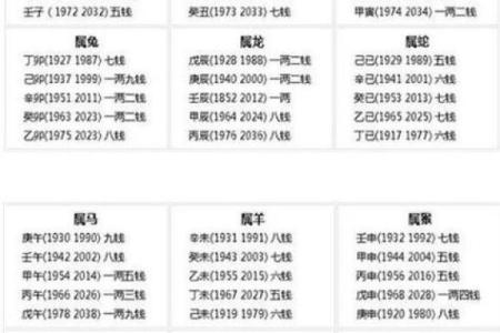 宝宝命运算命