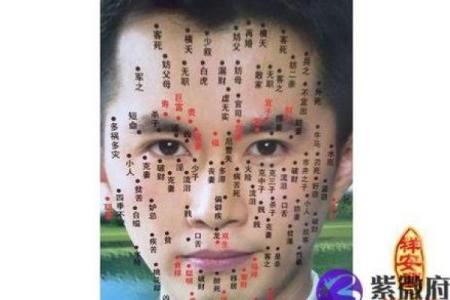 天生长八字胡的男人面相分析——命运运势
