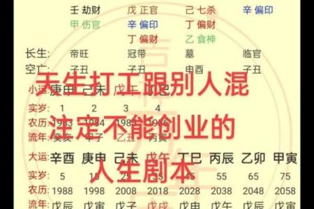 酉时八字