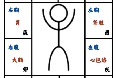紫微斗数弱智 紫微斗数看智力?