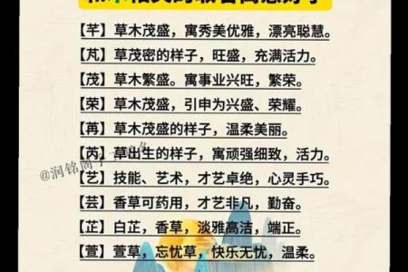 八字笔取名