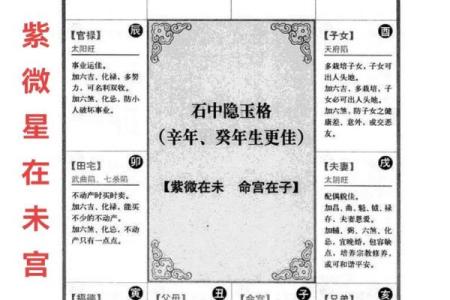 紫薇斗数乙级星含义