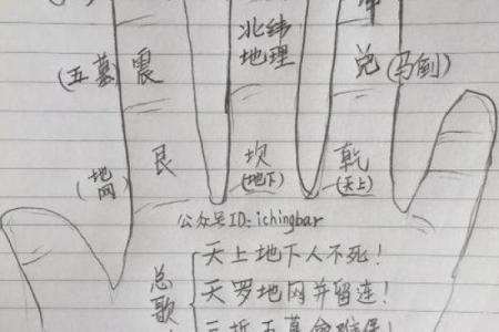 帮人算命价格表