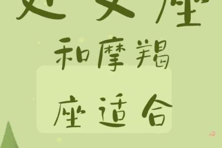 处女座和摩羯座配对指数