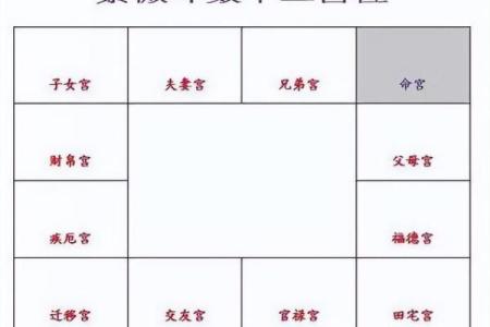紫薇斗数对盘