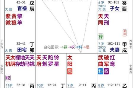 紫薇斗数看哪些人无情