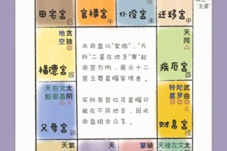夫之迁紫薇斗数