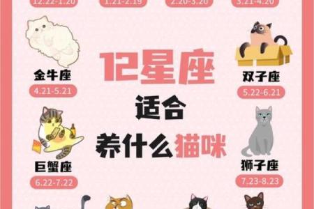 十二星座双子适合养猫狗嘛