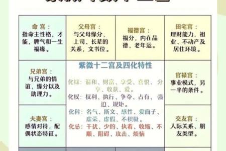 星尘紫微斗数 紫微斗数星情详解?