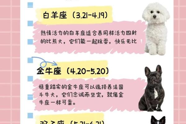 狗年运势旺到爆的星座 狗年运势旺到爆的星座