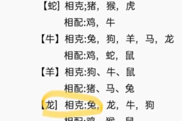 属兔和什么属相最配对 属兔和什么属相相冲 属兔和什么属相最配对 属兔和什么属相相冲