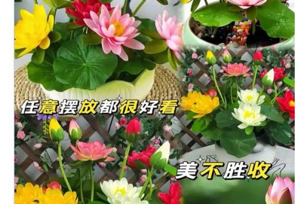 春夏哪个星座最好养花 春夏哪个星座最好养花