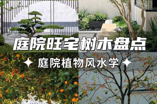 庭院风水_庭院高低不平好不好 庭院风水_庭院高低不平好不好