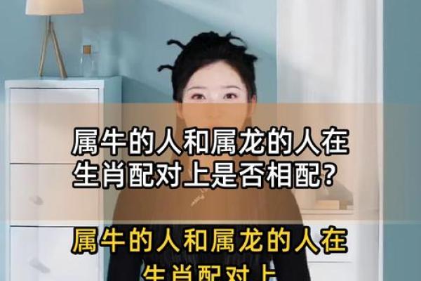 牛跟什么生肖配对最好 生肖牛最佳配对 牛跟什么生肖配对最好 生肖牛最佳配对