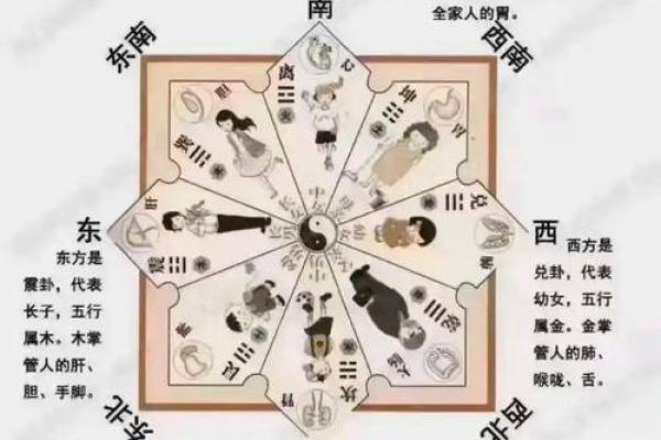 家人健康 风水 家人健康 风水