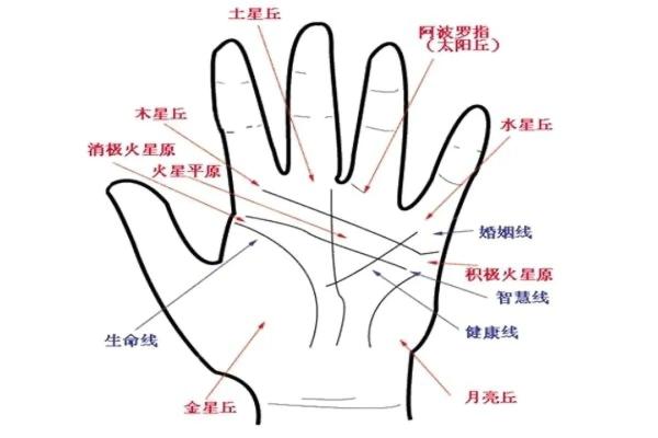 如何通过手相手纹算命- 如何通过手相手纹算命-