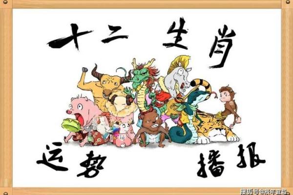 冲猪是属猪的不吉日吗 冲猪煞东的重点 冲猪是属猪的不吉日吗 冲猪煞东的重点