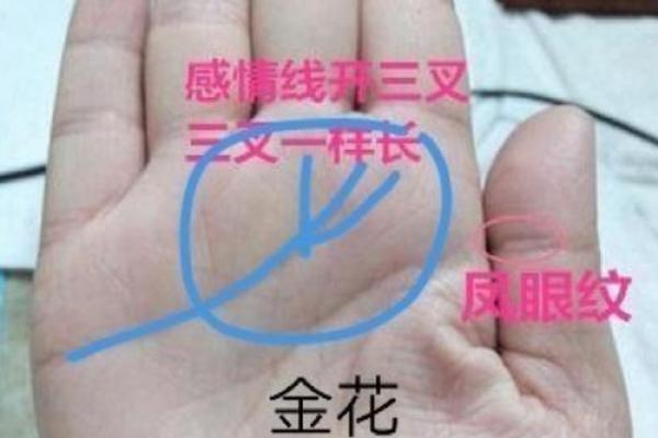 算命中指的官是什么 算命中指的官是什么