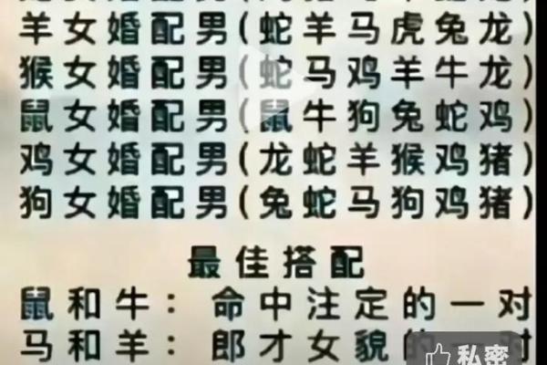 蛇男和猴女到底好不好 蛇男和猴女配对适不适合 蛇男和猴女到底好不好 蛇男和猴女配对适不适合