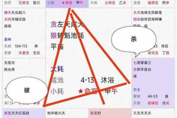 紫薇星化忌怎么看 紫薇星化忌怎么看