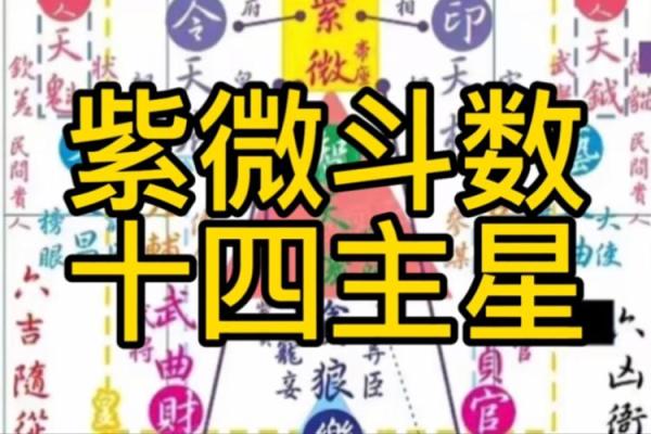 紫薇斗数安星码 紫薇斗数安星码