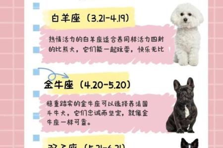 狗年运势旺到爆的星座