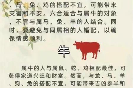 传统风水解析命里藏大富的生肖女有谁