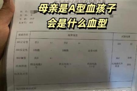 血型中的老爸性格