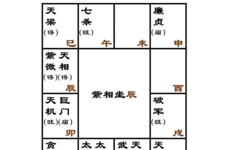 紫微斗数诸星落诸宫之,贪狼星:阳木疾厄宫详解