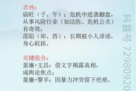 紫薇斗数博士入财帛