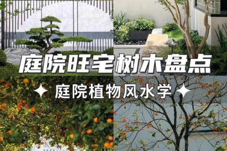 庭院风水_庭院高低不平好不好