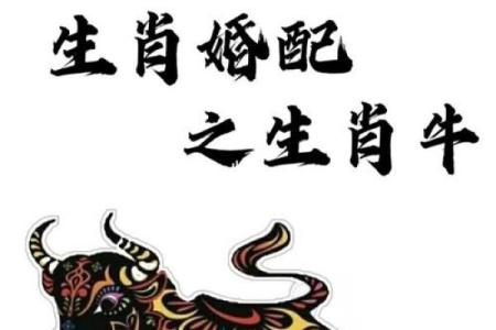 牛跟什么生肖配对最好 生肖牛最佳配对