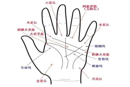 如何通过手相手纹算命-