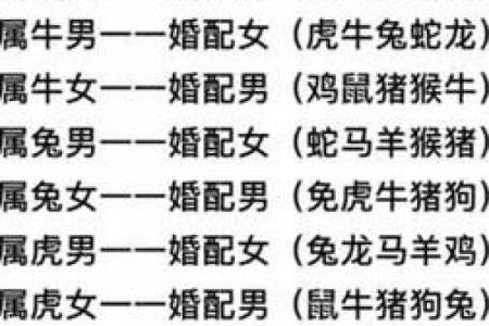 生肖配对查询表