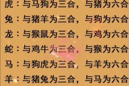 婚姻属相配对