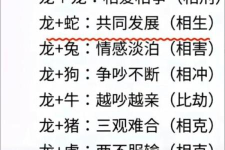 婚姻配对属龙和属蛇姻缘怎么样