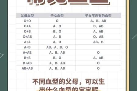 生肖和血型完美匹配你是哪种组合