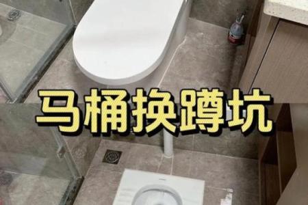 马桶不能正对大门方位,马桶不能对着门有什么讲究?