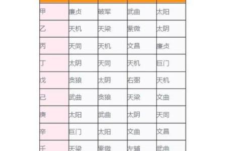 紫薇星化忌怎么看