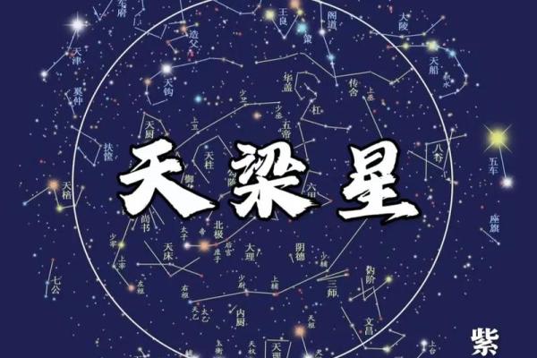 什么是紫微斗数? 什么是紫微斗数?