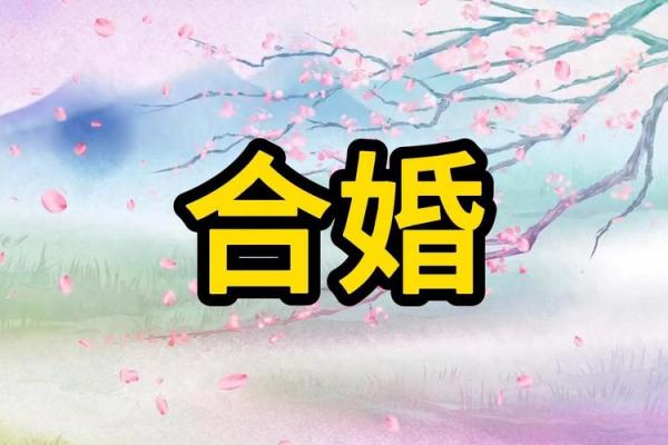 什么八字能和自己喜欢的人结婚 什么八字能和自己喜欢的人结婚