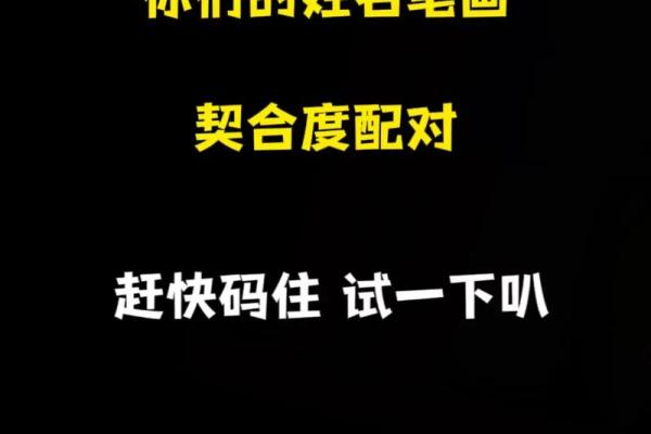 姓名契合度配对怎么进去 姓名契合度文案？
