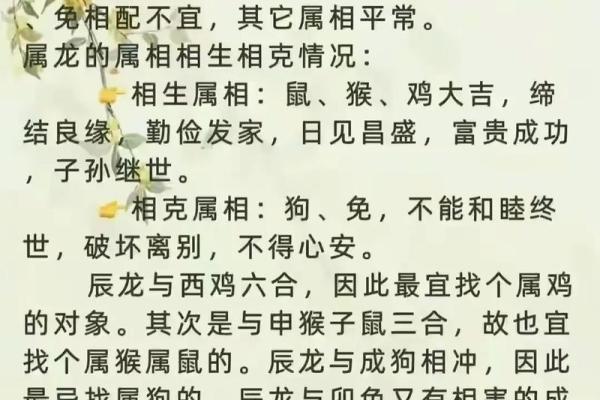 属龙姻缘配对 属龙姻缘配对