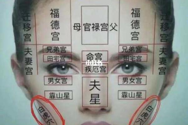 风水面相女人鼻头大到底好不好 风水面相女人鼻头大到底好不好