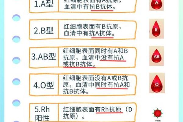 血型会影响怀孕吗- O型血的女性不易受孕 血型会影响怀孕吗- O型血的女性不易受孕