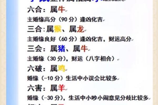 属马和什么属相最配对 属马和什么属相相冲 属马和什么属相最配对 属马和什么属相相冲