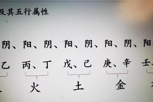 八字阳多 八字阳多