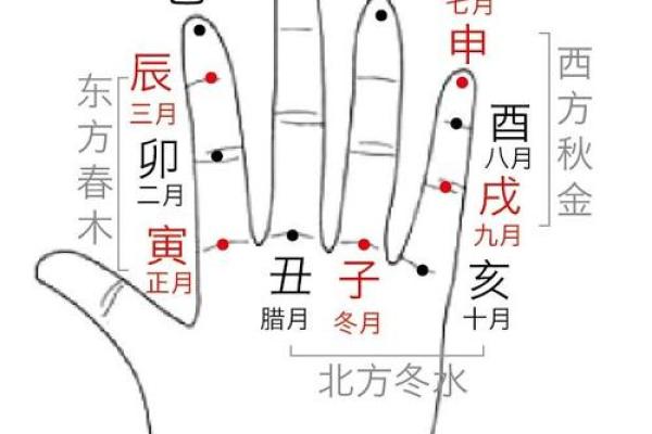 紫薇斗数与子平术 紫薇斗数与子平术