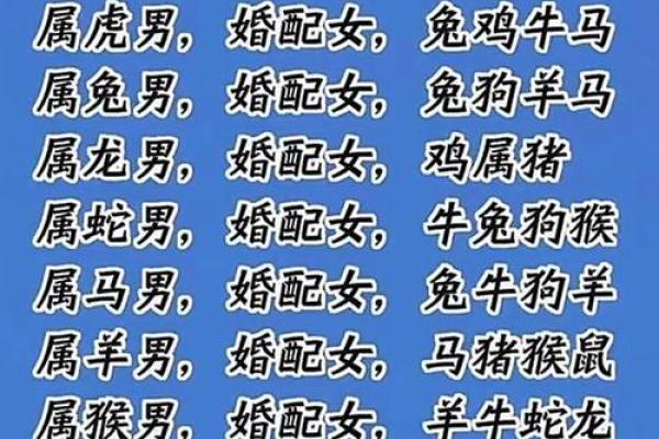 属兔的最佳生肖配对 属兔的最佳生肖配对